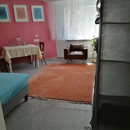 Desire Villa ไฮเดลเบิร์ก ภายนอก รูปภาพ