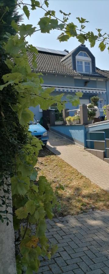 Desire Villa ไฮเดลเบิร์ก ภายนอก รูปภาพ